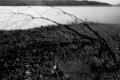 2016_03_12 (0044)
